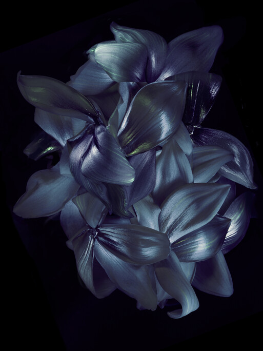 Photo : Candice Milon