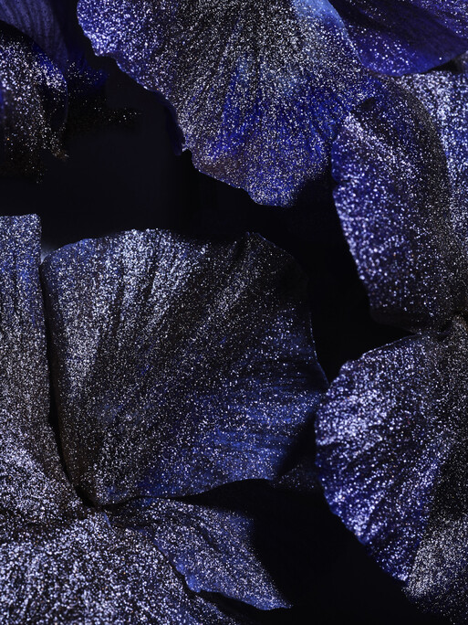 Photo : Candice Milon