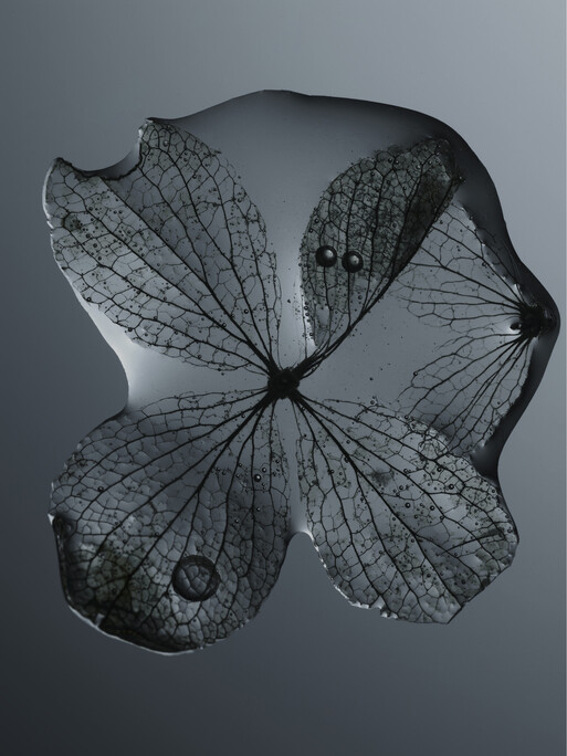 Photo : Candice Milon