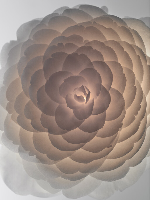 Photo : Candice Milon