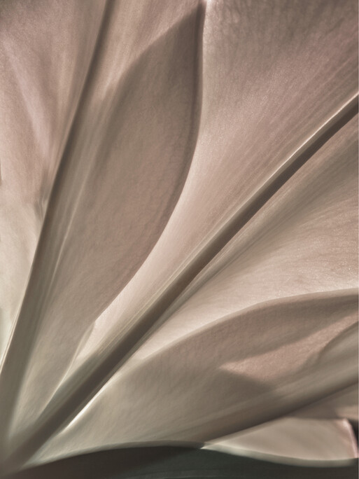 Photo : Candice Milon