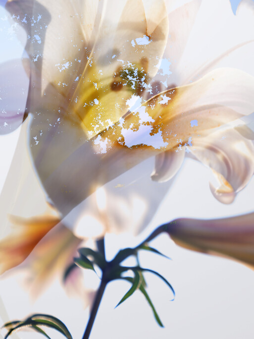 Photo : Candice Milon