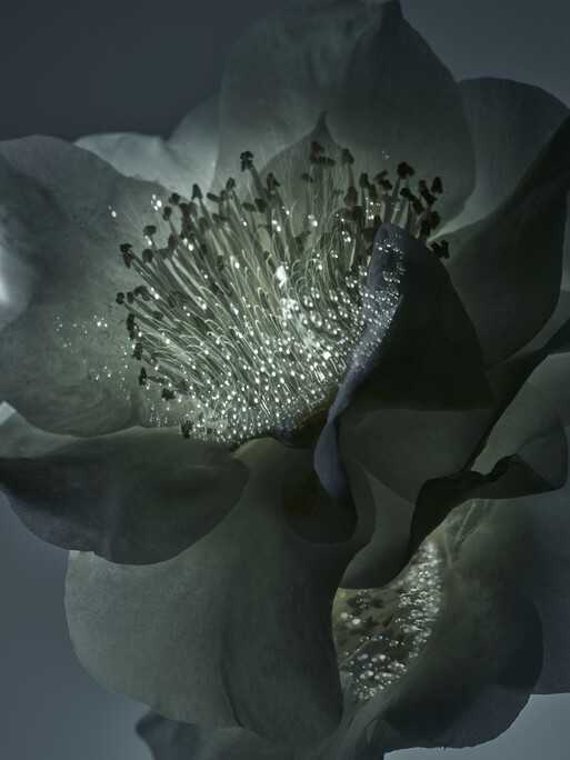 Photo : Candice Milon