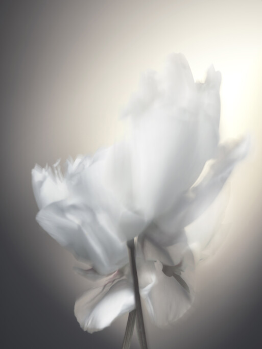 Photo : Candice Milon