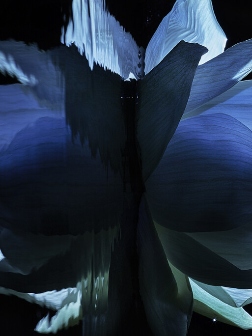 Photo : Candice Milon