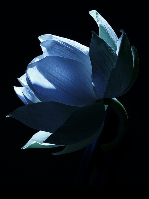 Photo : Candice Milon