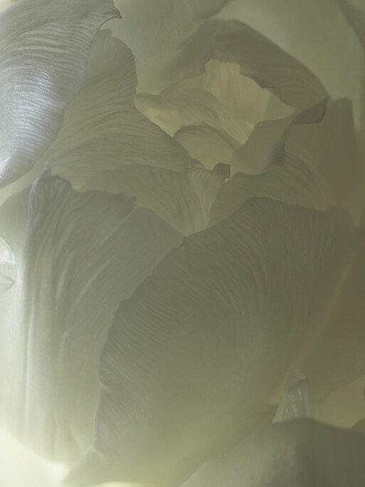 Photo : Candice Milon