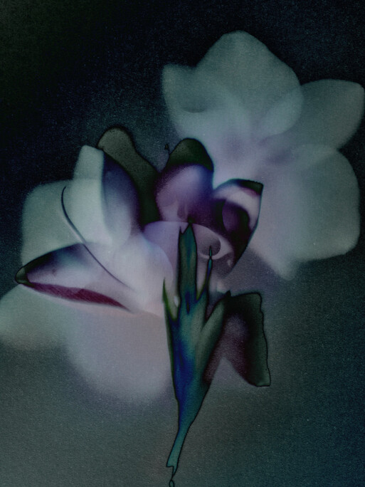 Photo : Candice Milon