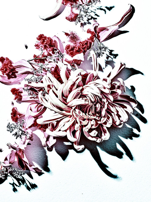 Photo : Candice Milon