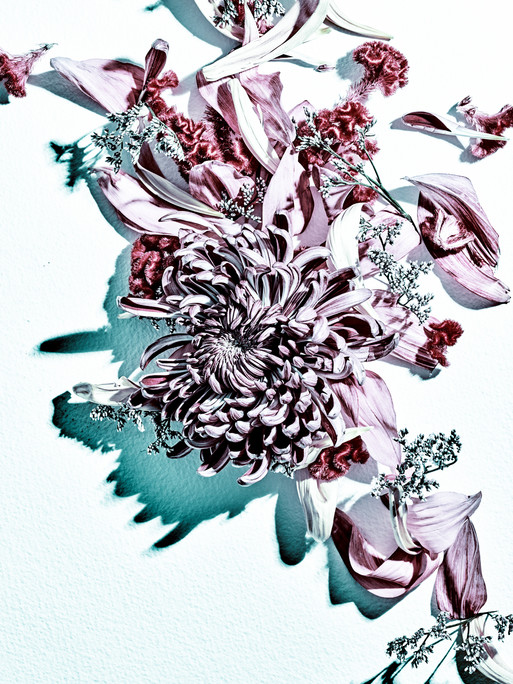 Photo : Candice Milon