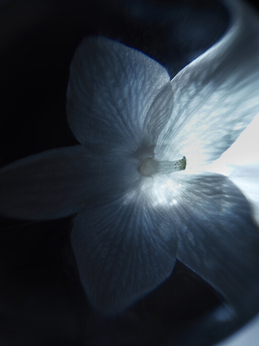 Photo : Candice Milon