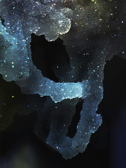 Photo : Candice Milon