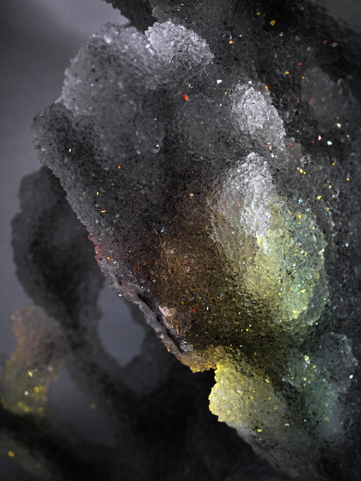 Photo : Candice Milon