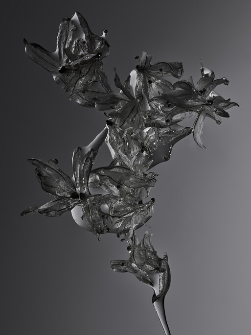 Photo : Candice Milon