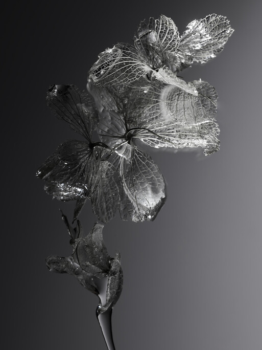 Photo : Candice Milon