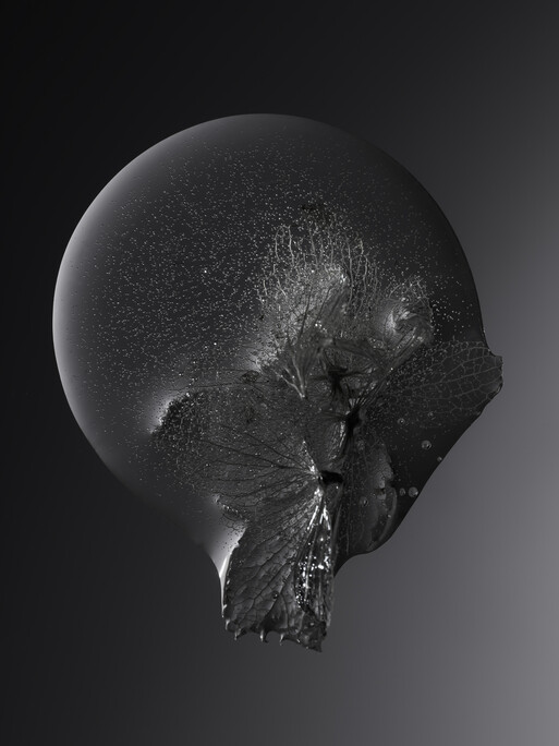 Photo : Candice Milon