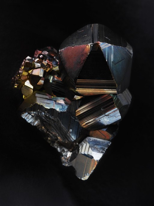 Photo : Candice Milon