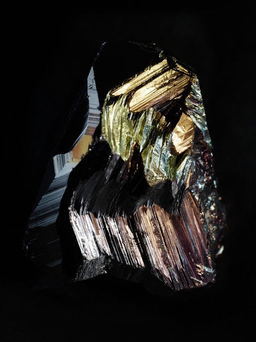 Photo : Candice Milon