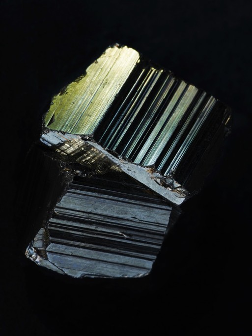 Photo : Candice Milon