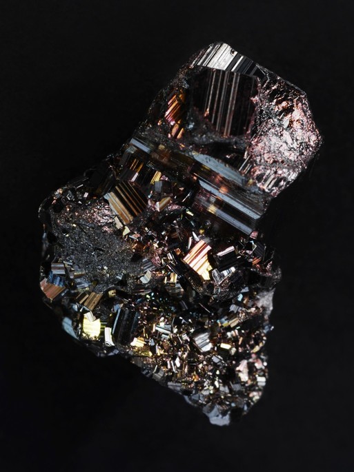 Photo : Candice Milon