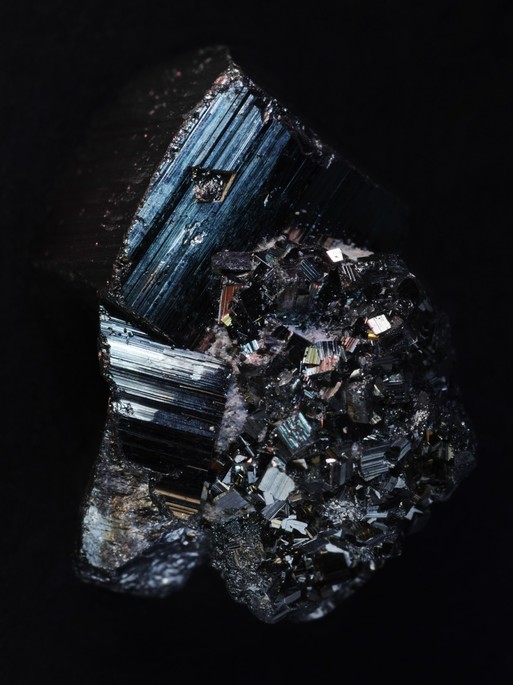 Photo : Candice Milon