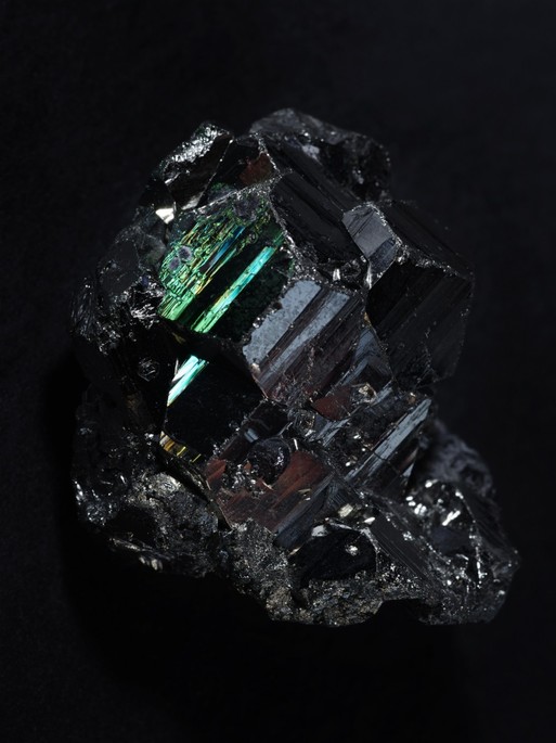 Photo : Candice Milon