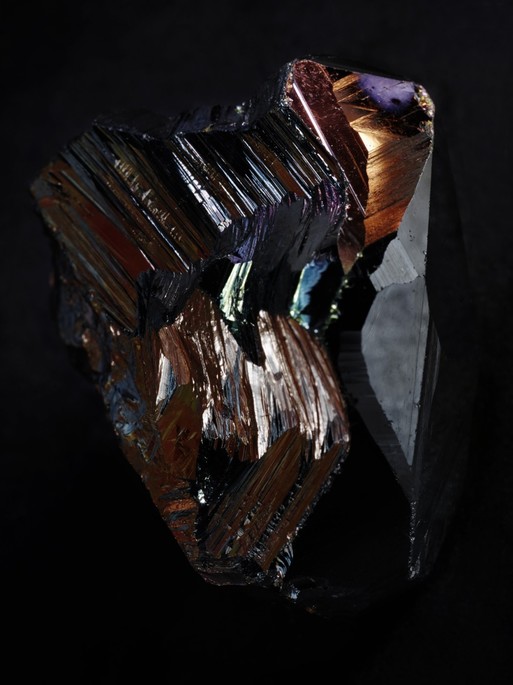 Photo : Candice Milon