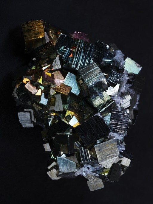 Photo : Candice Milon