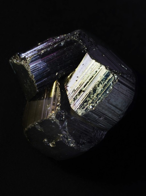 Photo : Candice Milon