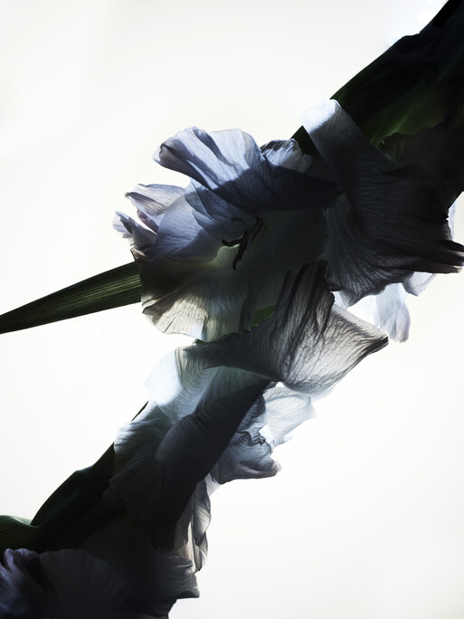 Photo : Candice Milon