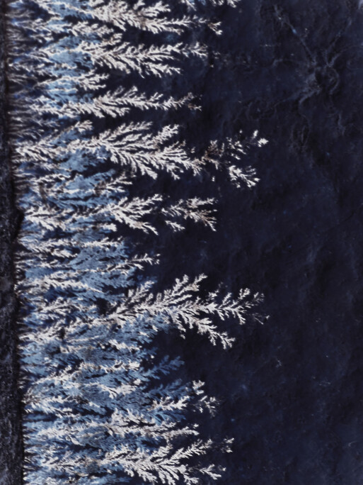 Photo : Candice Milon