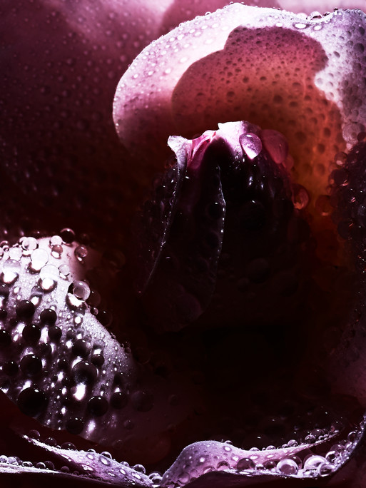 Photo : Candice Milon
