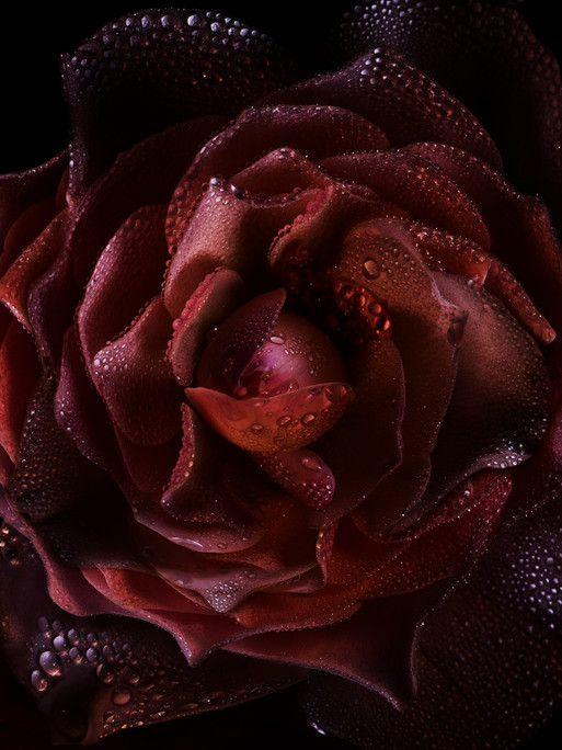 Photo : Candice Milon