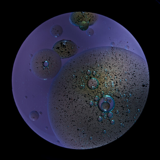 Photo : Candice Milon