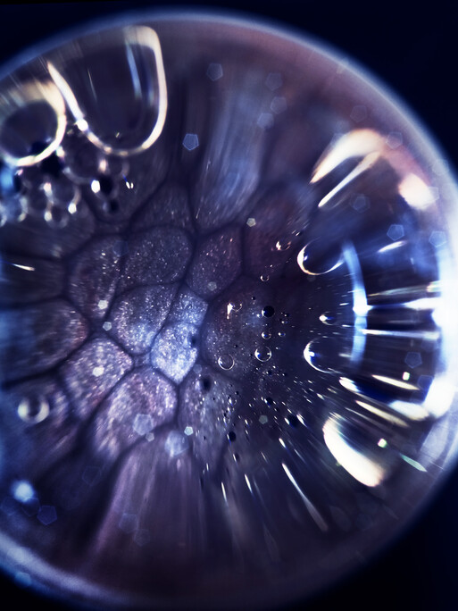 Photo : Candice Milon