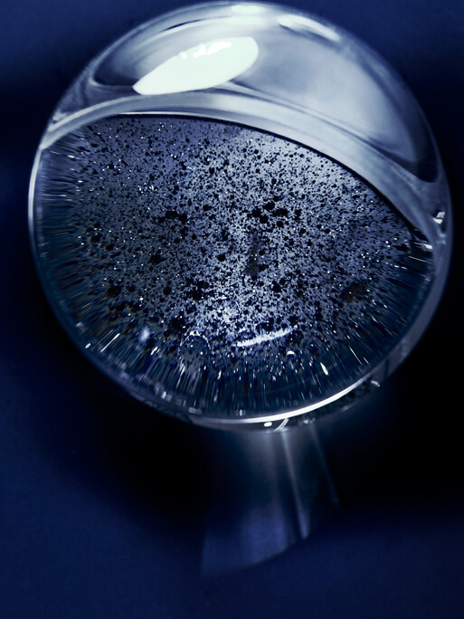 Photo : Coline Le Corre