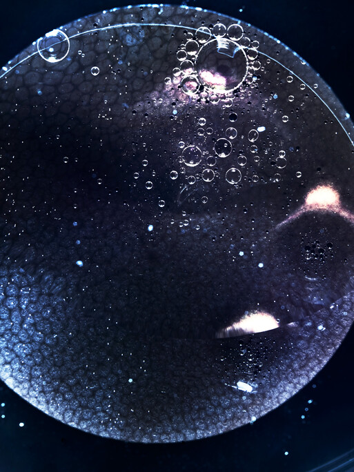 Photo : Candice Milon