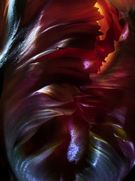 Photo : Candice Milon