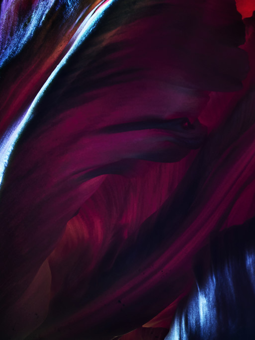 Photo : Candice Milon