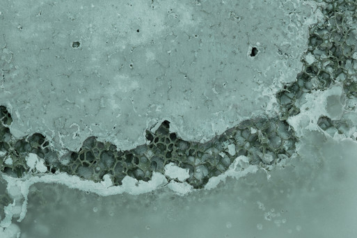 Photo : Coline Le Corre