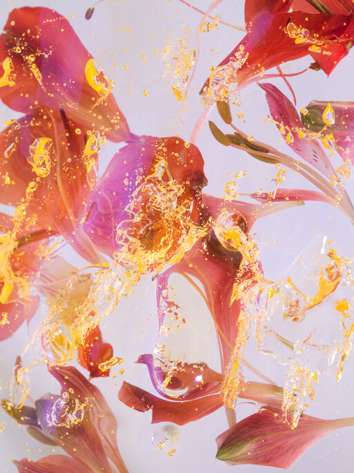 Photographers Antinomia