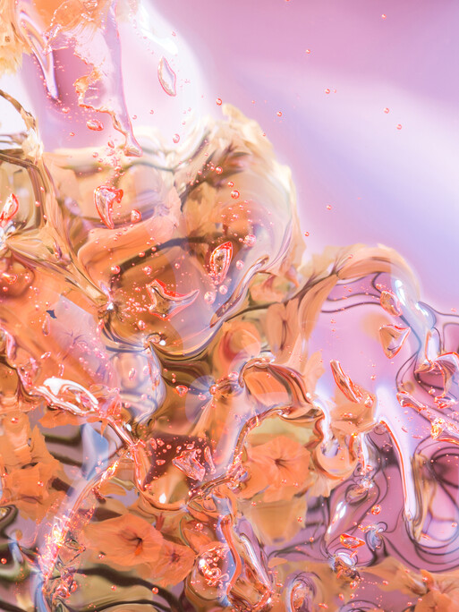 Photo : Coline Le Corre