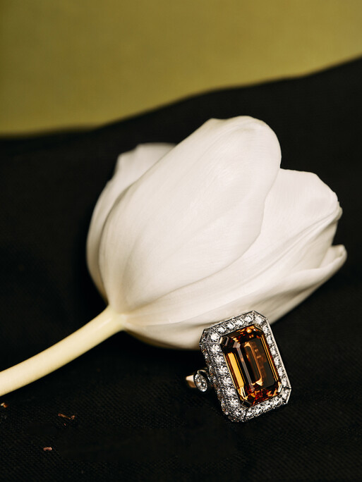 Photo : Coline Le Corre