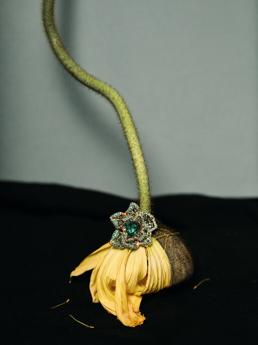 Photo : Coline Le Corre