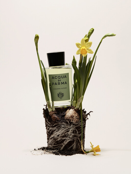 Photo : Coline Le Corre