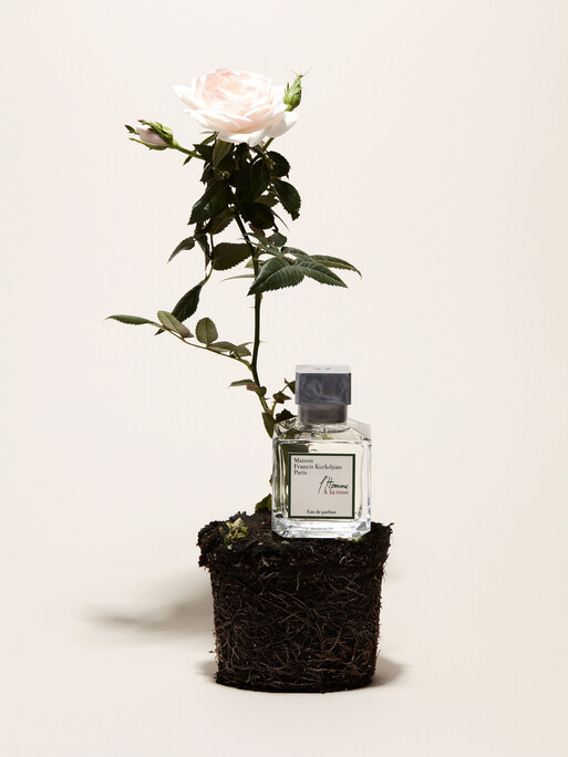 Photo : Coline Le Corre