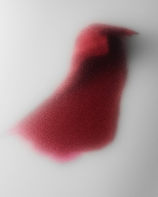 Photo : Coline Le Corre