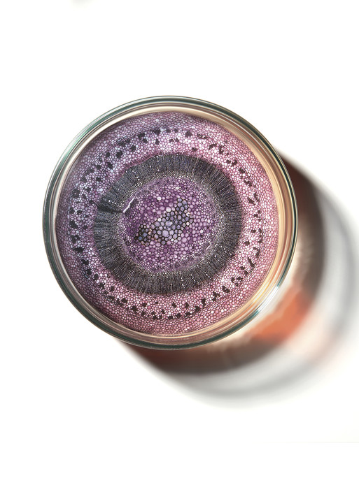 Photo : Coline Le Corre