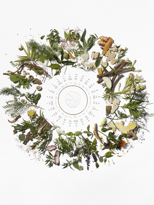 Photo : Coline Le Corre