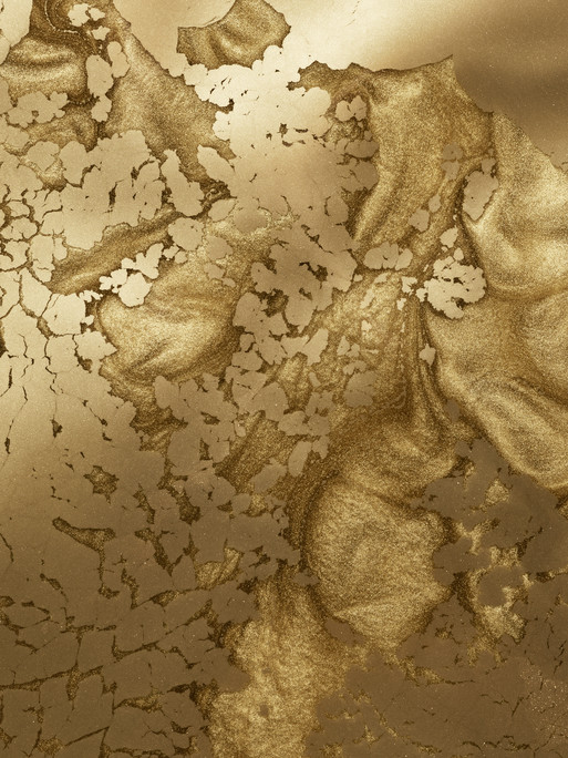 Photo : Coline Le Corre